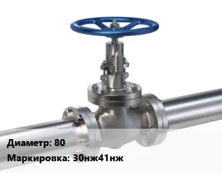 Задвижка нержавеющая 80 30нж41нж